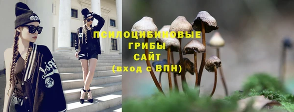 соль ск Пролетарск