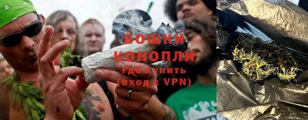 стаф Богородицк