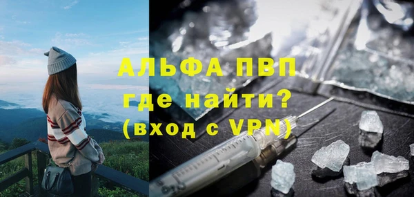 стаф Богородицк