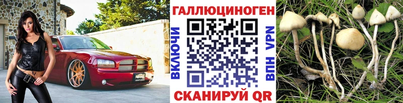 купить наркотик  Туймазы  Псилоцибиновые грибы Psilocybine cubensis 